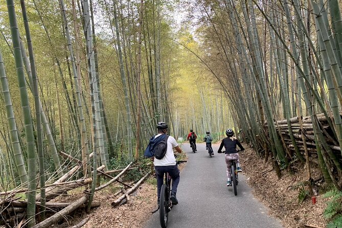 Kyoto Gion & Fushimi E-Bike Tour With Hotel Transfer - Discovering the Citys Iconic Landmarks