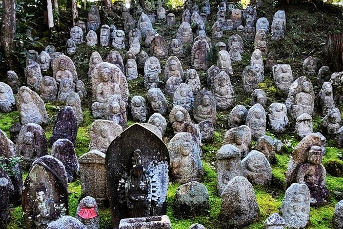 Kyoto Half Day Tour - Cancellation Policy