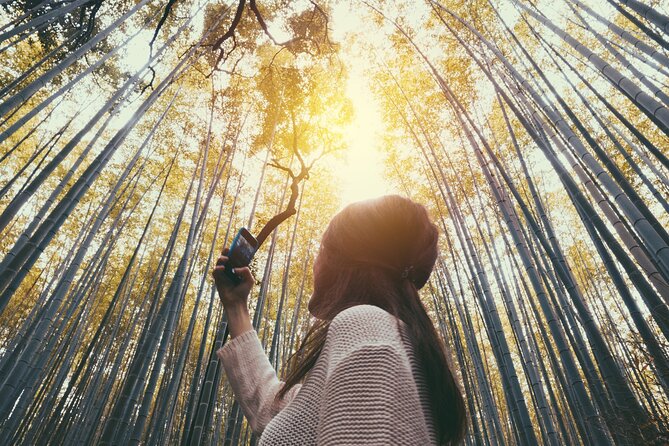 Kyoto Highlights: With Nijo Castle Ticket & Bamboo Forest - Taking in the Serene Bamboo Forest