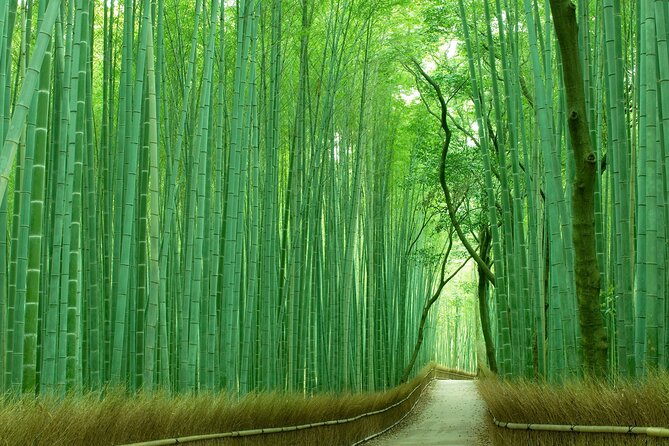 Kyoto Must-Visit Highlights: Private Car Tour - Booking and Confirmation
