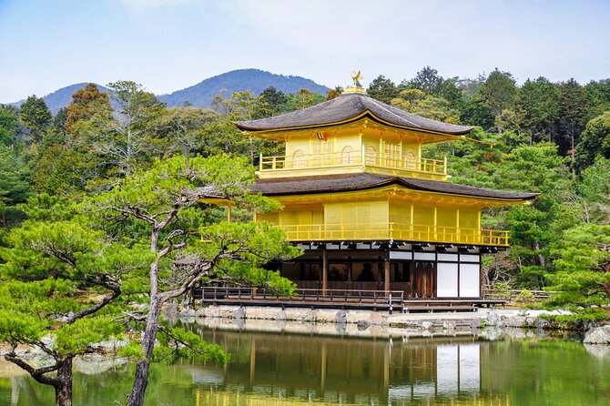Kyoto: Private City Highlights Tour by Car - Tour Participation and Experience
