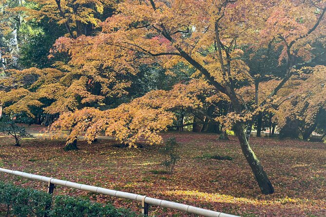 Kyoto Private Sightseeing Tours With English Speaking Driver - Pickup Information