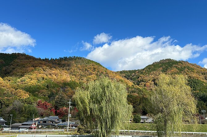Kyoto Satoyama Cycling With Prayer Food Culture - Bicycle Details and Safety Considerations
