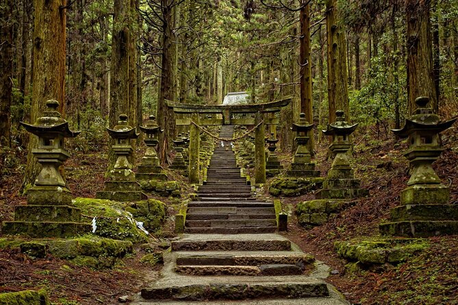 Kyushu Kamishiromi Shrine, Amano Iwato, and Takachiho Gorge Tour - Accessibility and Participation