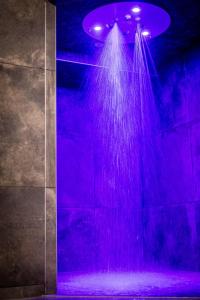 Lake Madine Spa Hotel - Drapier House - Dining Options at Hôtel SPA Du Lac De Madine