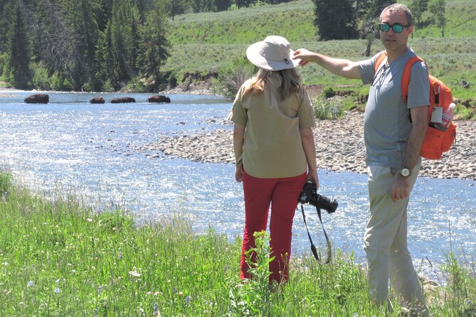 Lamar Valley Safari Hiking Tour With Lunch - Included Meals and Beverages