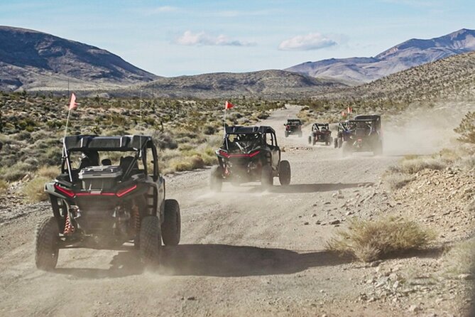 Las Vegas ATV Tour 2 or 4 Seater With FREE Transfer Included - Health Considerations for Participants