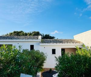 Licetto Domain - Guest Experience and Reviews