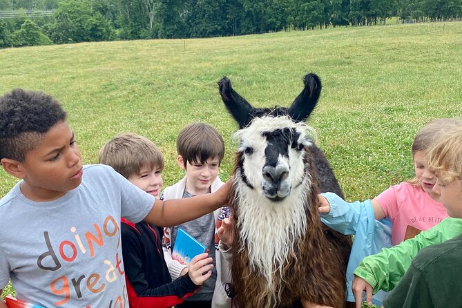 Llama/Alpaca Hike and Farm Tour - Learning About the Farms Homestead History