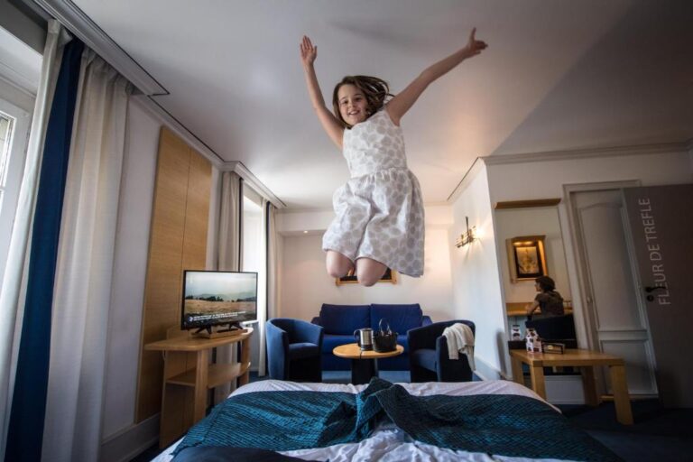 Logis Hotel Le France Review
