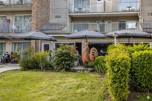 Logis Hôtel & Restaurant - the Relais De Montigny - Guest Experience and Reviews