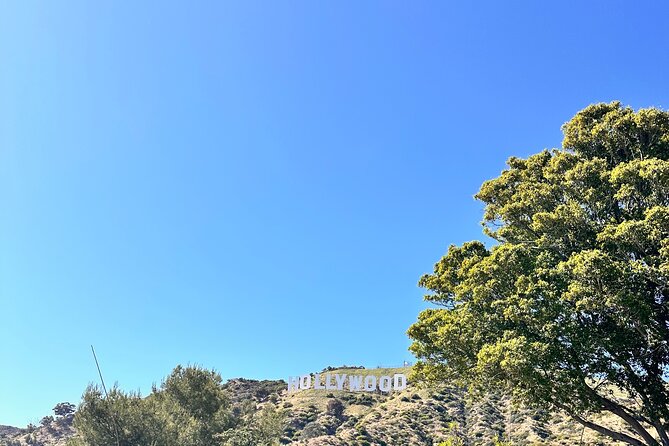 Los Angeles Private Tour - Customization Options