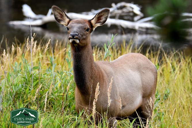 Lower Valley Tour RMNP - Inclusions and Meeting Details