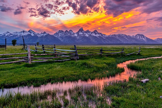 Luxury Private Half-Day Grand Teton National Park Tour - Tour Experience and Highlights