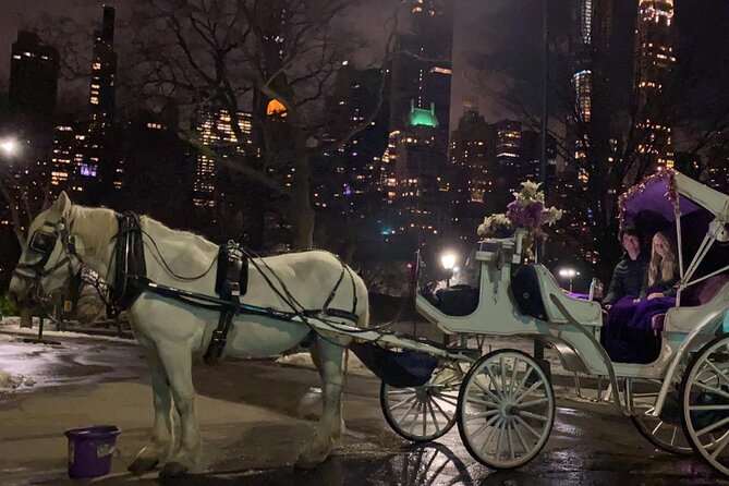 Magical Evening Horse-Drawn Carriage Through NYC (65 Min) - Whats Included