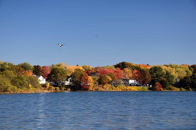 Maine Fall Foliage Private Lobster Boat Cruise With Local Drinks - Photography Opportunities From the Water