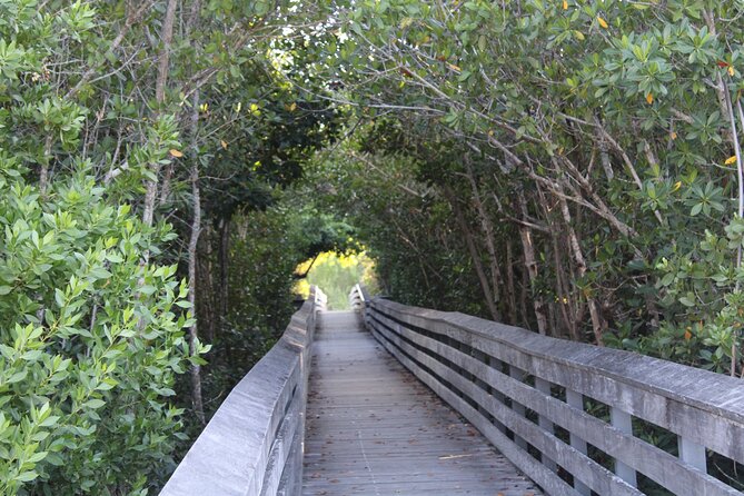 Marco Island Photography Experience - Wildlife and Marine Life