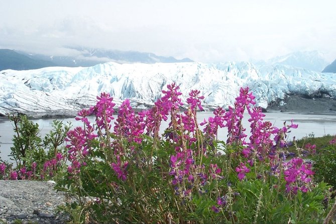 Matanuska Glacier Winter Tour - Group Size and Guided Experience