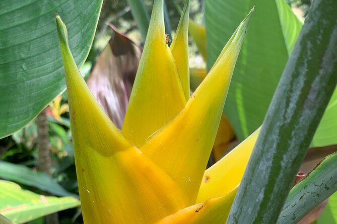 Maui Magical Waterfall and Jungle Tour: Road to Hana - Customer Feedback and Expectations