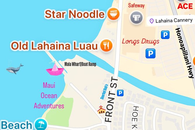 Maui Mid Day Magic Whale Watch - What to Expect on Your Journey