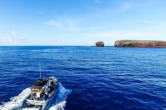 Maui to Lanai Semi-Private Eco Raft Snorkel & Dolphin Tour - Positive Reviews and Guest Experiences