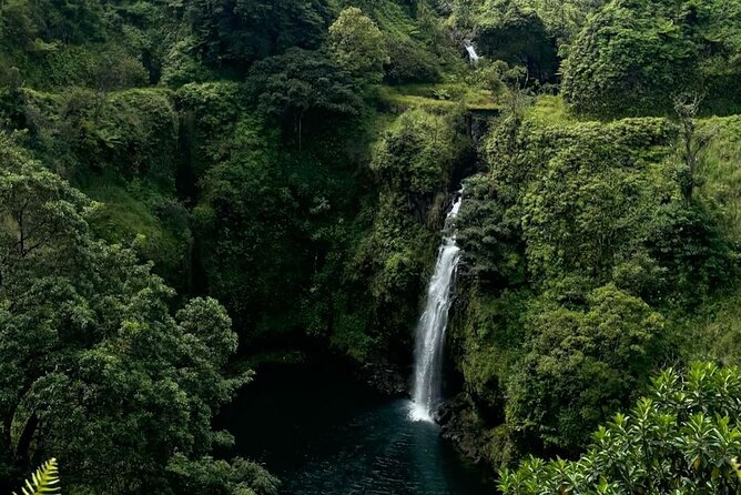 Maui's Sea Turtles, Waterfalls and Road to Hana Adventure - Encountering Mauis Sea Turtles