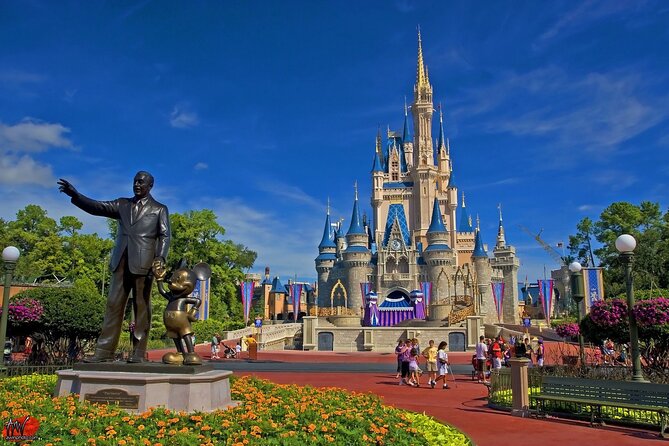 MCO Orlando Airport Transportation - Vehicle Features and Accessibility