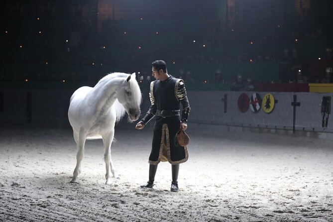 Medieval Times Dinner Show in Orlando - Guest Reviews