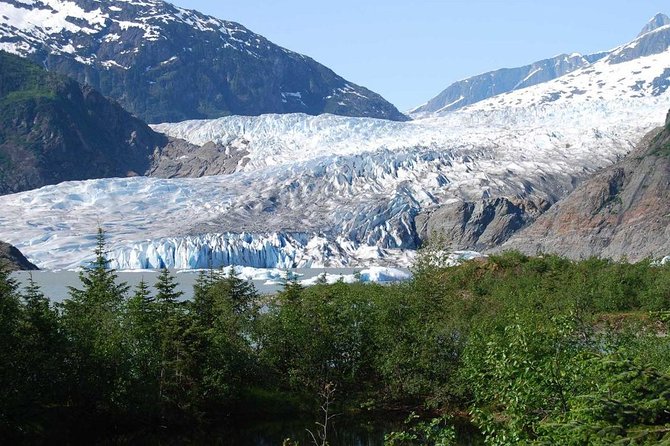 Mendenhall Glacier Trolley Tour - Guided Experience