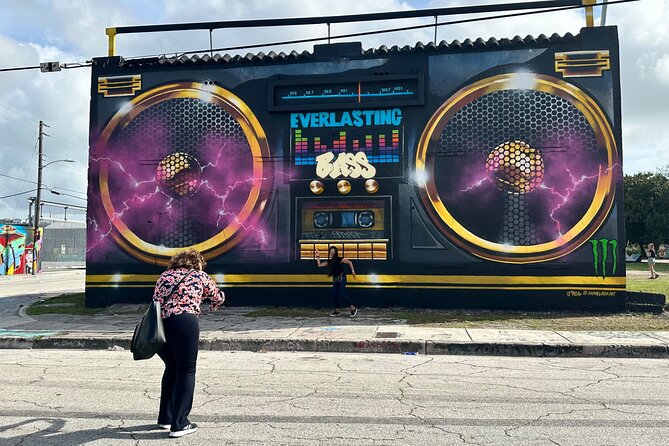 Miami Sightseeing and Exploration Tour - Accessibility Features