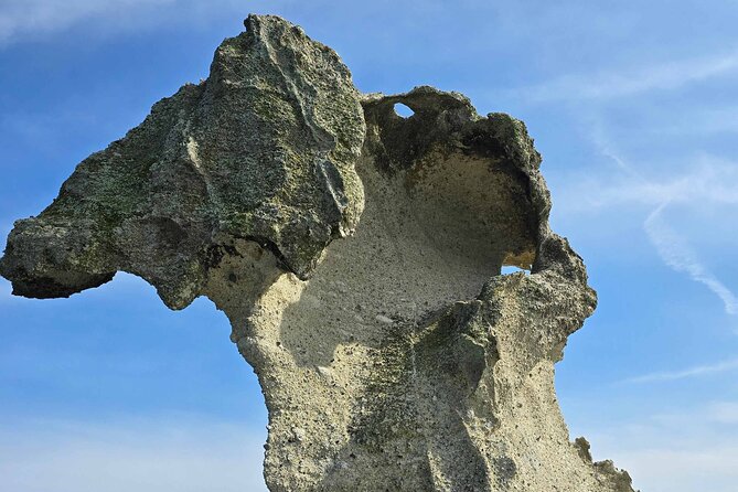 Michinoku Coastal 3 Days Trail Tour in Natori Matsushima Kesennuma - Health and Safety Guidelines