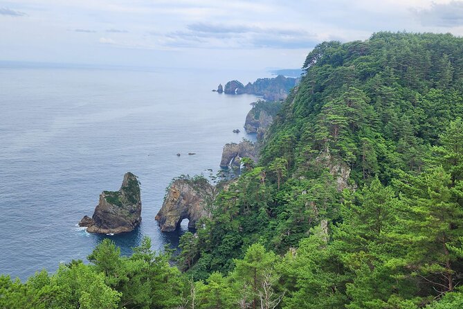 Michinoku Coastal E-Bike Tour in Tanohata With Guide - Health and Safety Requirements