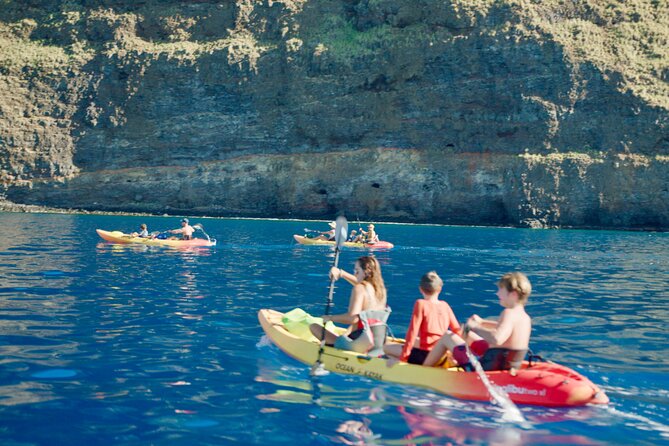 Midday Meander - Kealakekua Bay Kayak and Snorkel Adventure - Accessibility and Participation