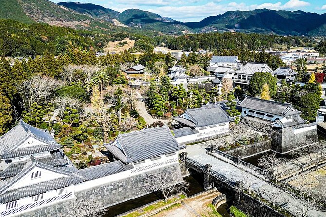 Miyazaki, Kyushu: Wear Armor and Become a Shogun at a Castle - Private Tour Experience