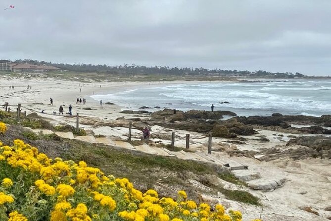 Monterey Bay Famous Dog Friendly Electric Bike and Sidecar Tour - Meeting Location and Tour Duration