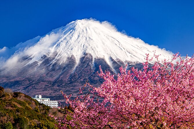 Mount Fuji and Cherry Blossom E-Bike Tour (Seasonal Availability) - Health and Accessibility Information