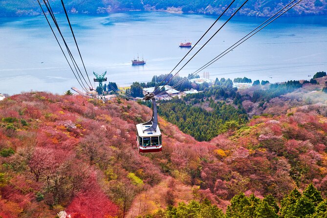 Mount Fuji and Hakone Private Day Trip by Car/Van - in English - Inclusions