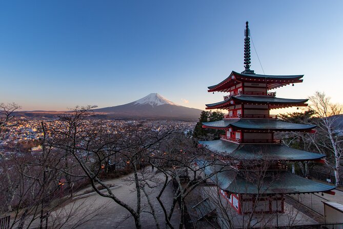 Mount Fuji and Lake Kawaguchi Private Day Trip From Tokyo - Booking and Cancellation Policy
