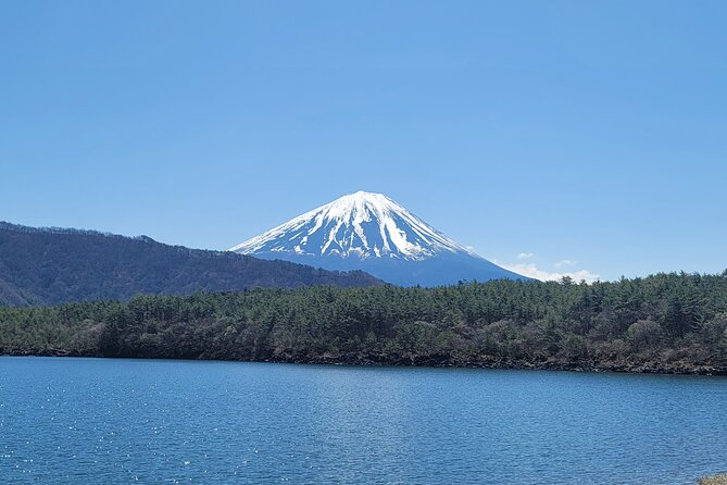 Mount Fuji Day Tour With English/Hindi Speaking Guide - Highlights of the Mount Fuji Day Tour
