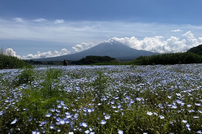 Mount Fuji Day Trip Around Lake Kawaguchiko - Meeting and End Point
