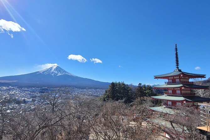 Mount Fuji Day Trip From Tokyo With English Speaking Chauffeur - Accessibility Features