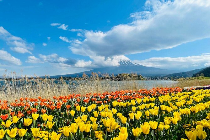 Mount Fuji Four Iconic Scenic Spots Day Tour From Tokyo - Meeting Information