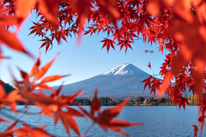Mount Fuji Full Day Tour Form Tokyo Lake Kawaguchi & Yamanaka - Meeting and Pickup