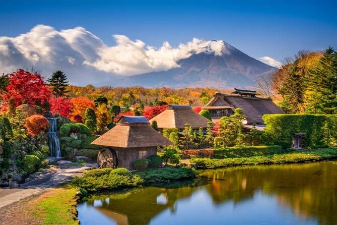 Mount Fuji One Day Tour From Tokyo Japan - Accessibility and Participation