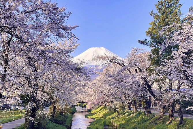 Mount Fuji Sightseeing One Day Tour From Tokyo - Meeting and Pickup Details