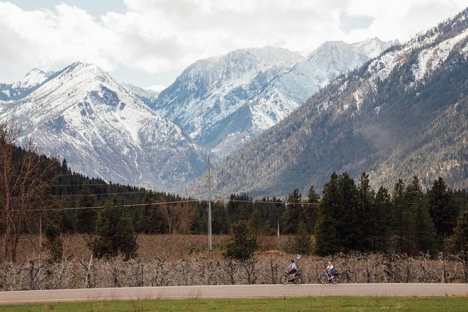 Mountain View E-Bike Experience - Participant Information