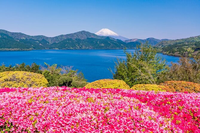 Mt Fuji and Hakone One Day Tour Departure From Tokyo With Lunch - Inclusions and Pricing