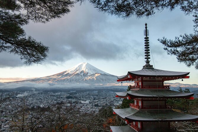 Mt. Fuji and Hakone Private Day Tour With English Speaking Guide - Booking Information