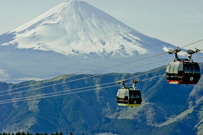 Mt Fuji and Hakone Private Day Tour - Itinerary Overview