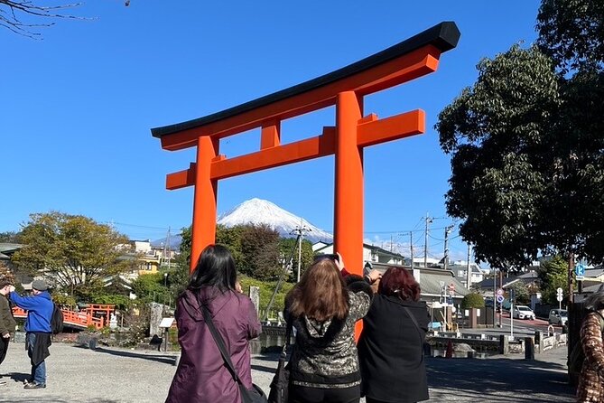 Mt. Fuji Area Private Tour From Shizuoka Station / Van Taxi - Accessibility